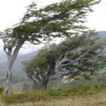 Senador Ricardo de los Santos anuncia llegada inmediata de ayudas a zonas afectadas por ventarrón en Sánchez Ramírez