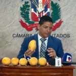 Denuncian plaga y falta de mercado afectan a productores de mango en Baní