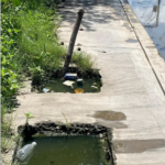 Residentes de Plan Porvenir y 30 de Mayo denuncian acumulación de aguas residuales en San Pedro de Macorís
