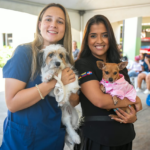 Alcaldía del Distrito Nacional esteriliza 102 animales y coloca 530 vacunas en jornada de este fin de semana