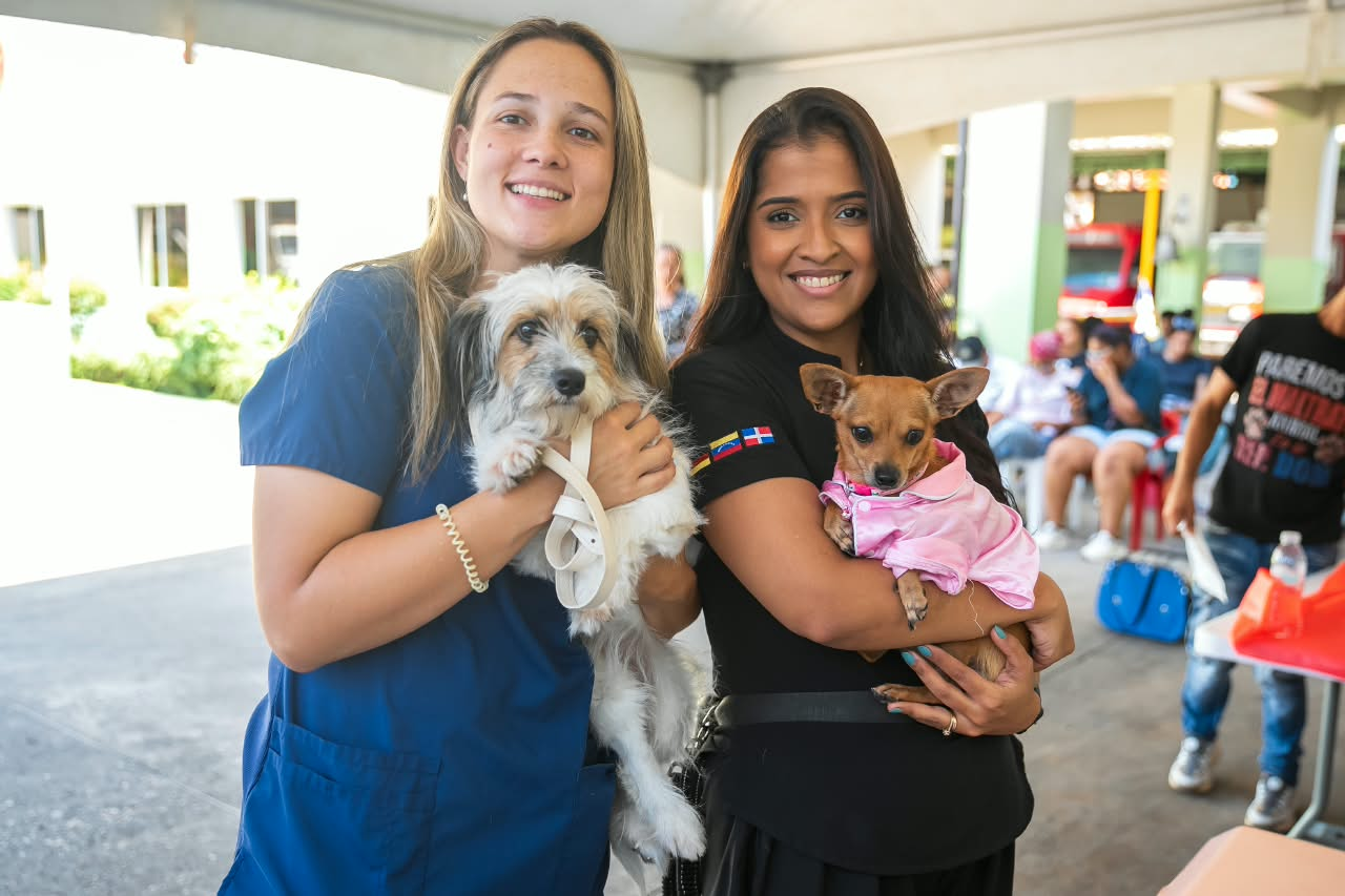 Alcaldía del Distrito Nacional esteriliza 102 animales y coloca 530 vacunas en jornada de este fin de semana