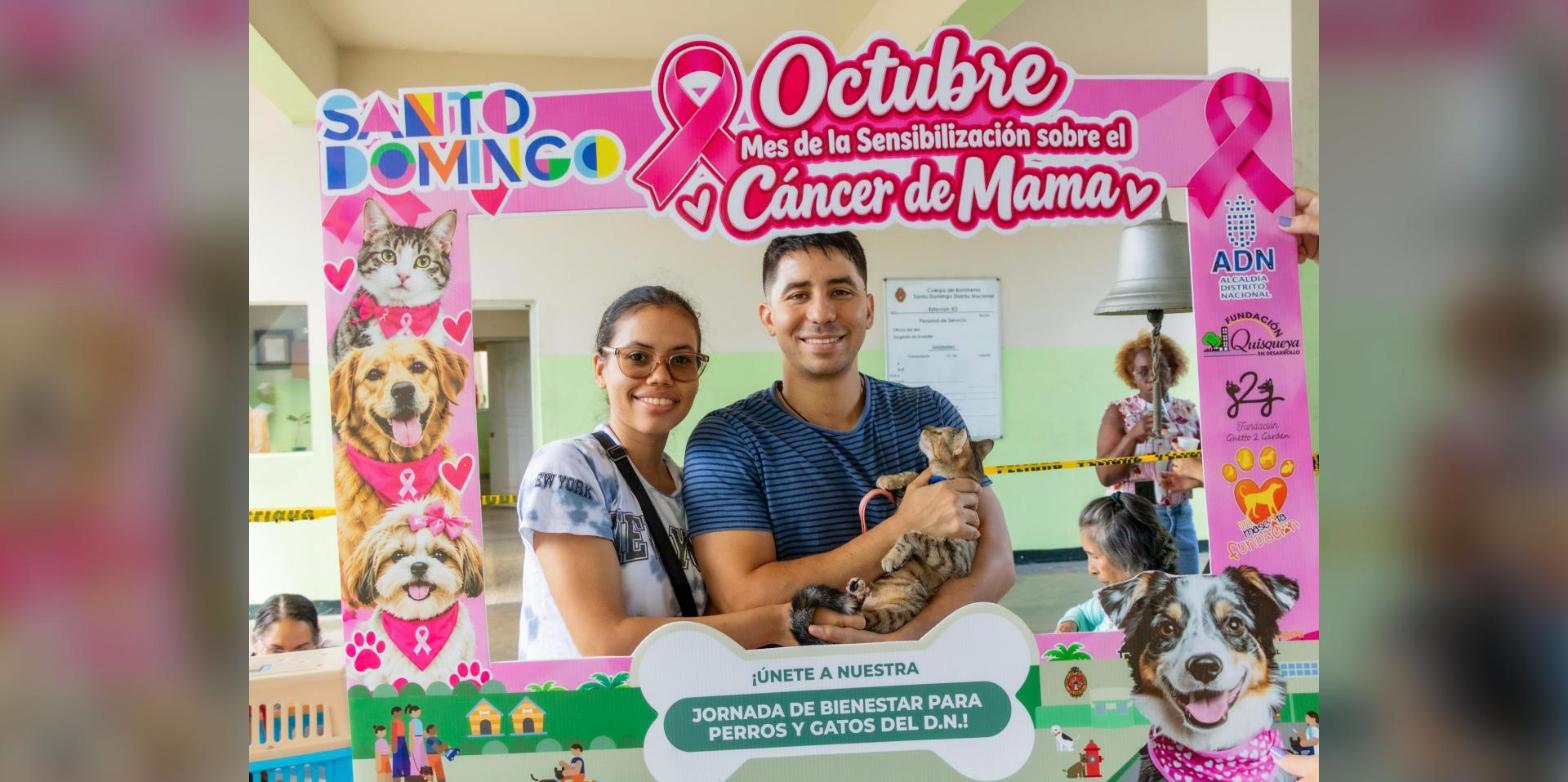 Alcaldía del Distrito Nacional esteriliza 107 perros y gatos en jornada de bienestar animal